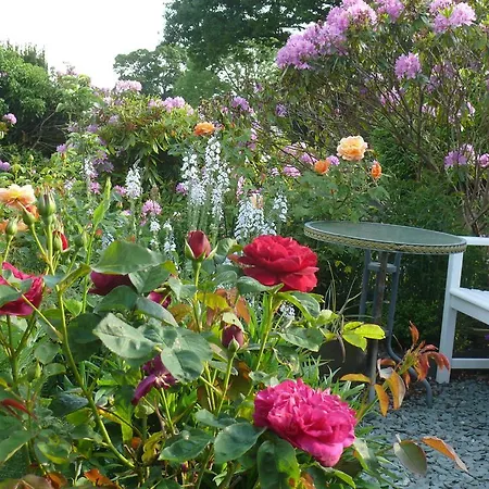 Westwood - The With A View Cockermouth