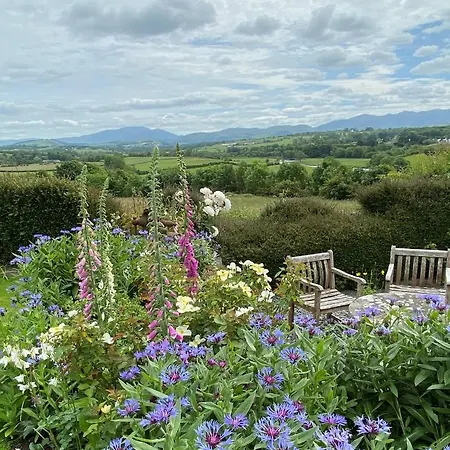 Westwood - The With A View 4*